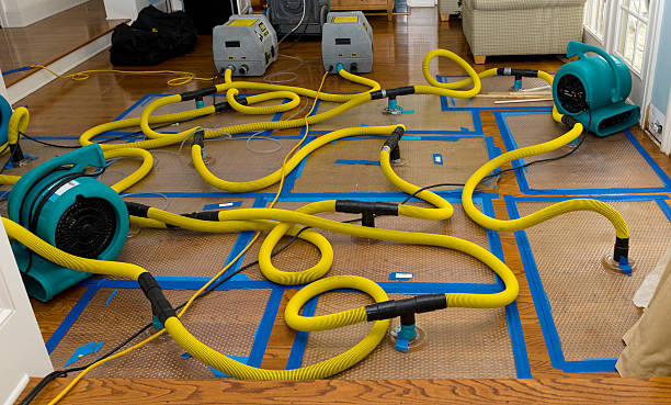 Professional Sewage Cleanup technician working in Rhode Island, RI